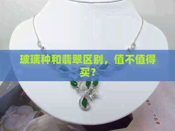 玻璃种与玻璃制品 翡翠收藏中的价值迷雾